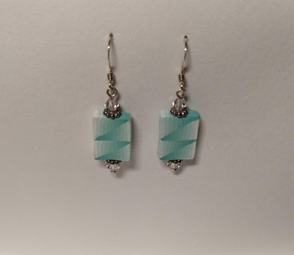 Flat two color earrings