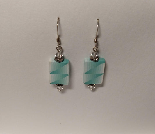 Flat two color earrings